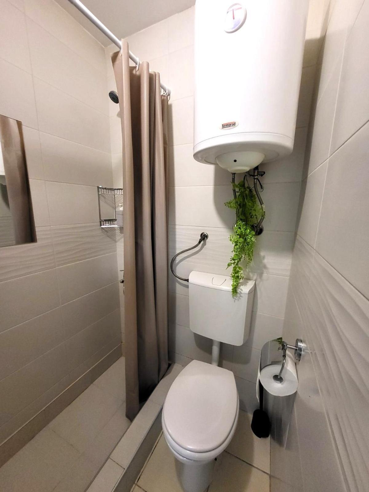 Guesthouse Ozegovic 贝尔格莱德 外观 照片
